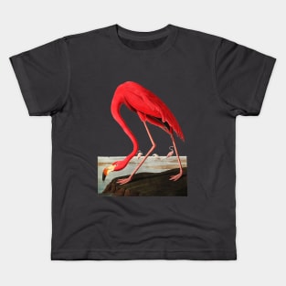 John J, Audubon Greater Flamingo Kids T-Shirt